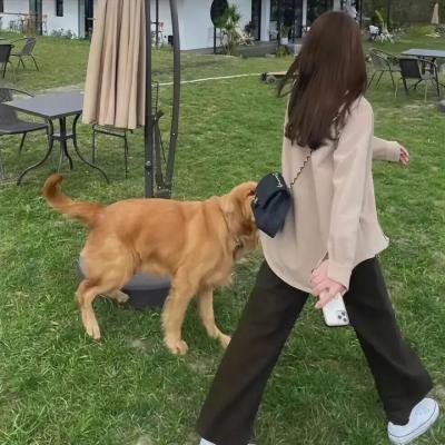 亡命驾驶